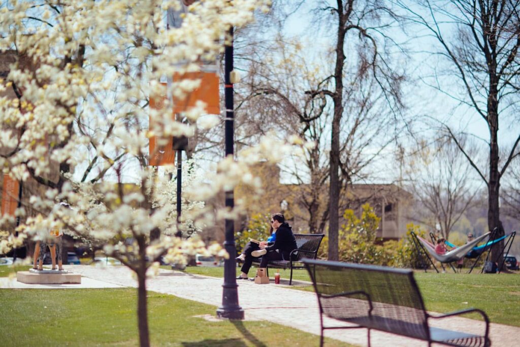 Students sit on a bench and in hammocks while dogwoods bloom in Circle Park